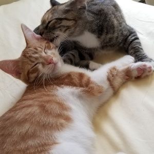 Meet your Posher, Barbara